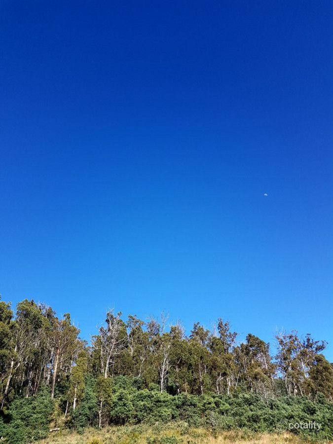 290 Horners Rd, Elderslie, TAS 7030