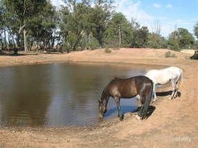 46-64 Lone Pine Rd, West Wyalong, NSW 2671