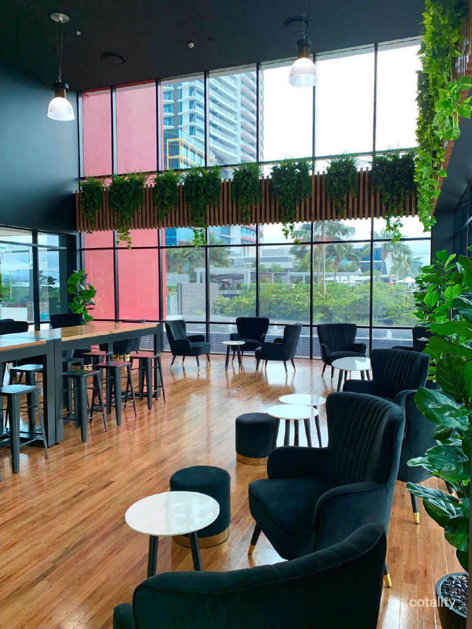 1311/56 Scarborough St, Southport, QLD 4215