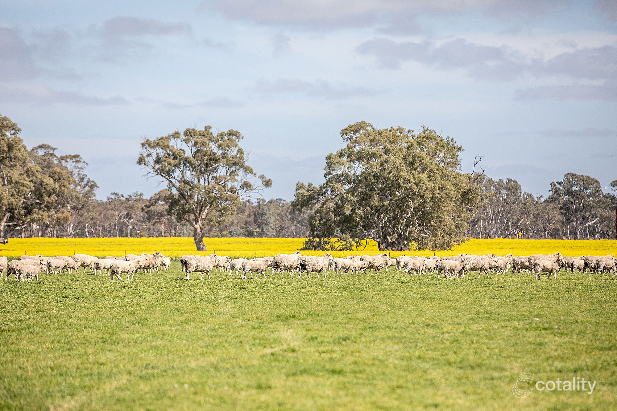 291 Teates Rd, Frances, SA 5262