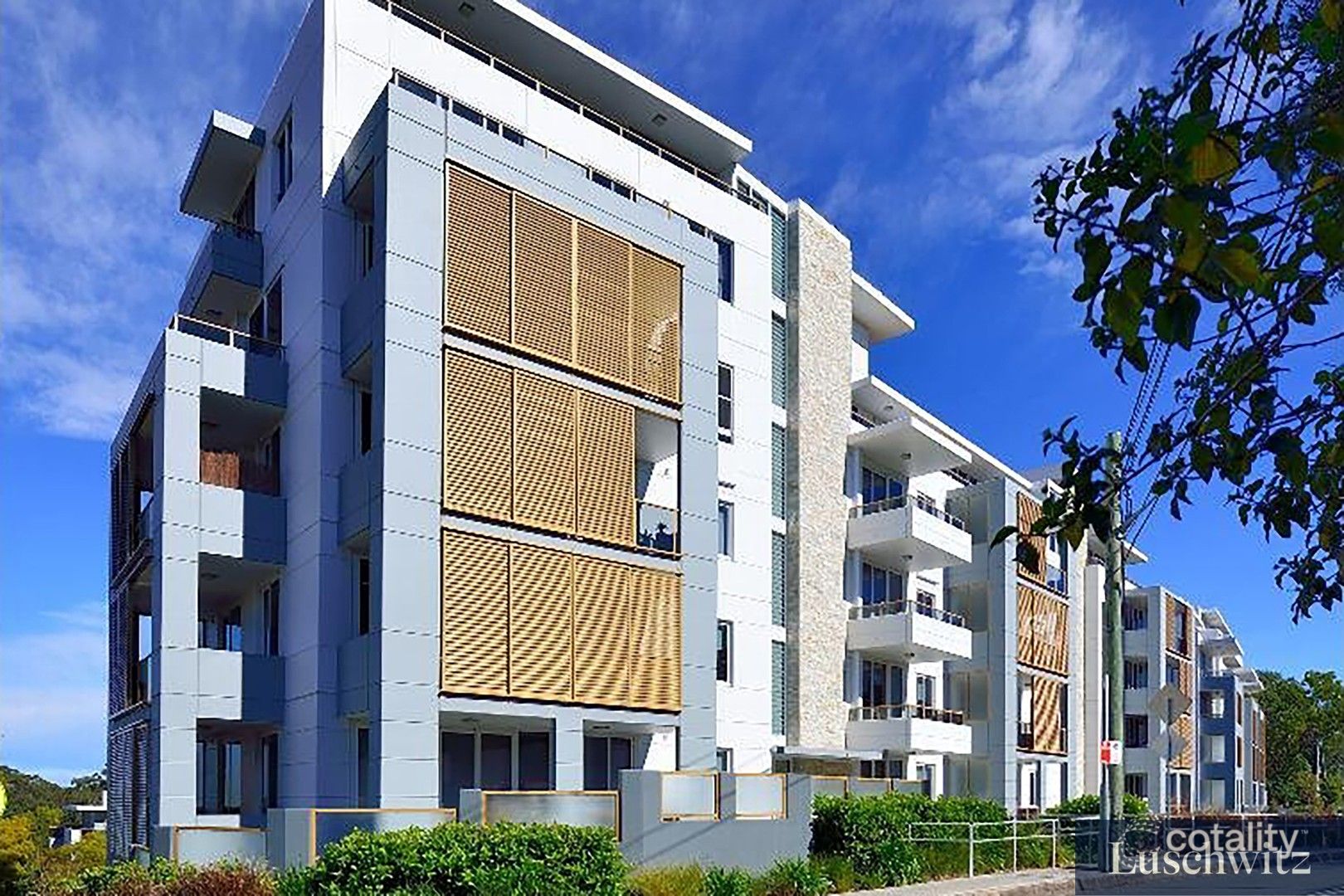 1130/2-12 Avon Rd, Pymble, NSW 2073