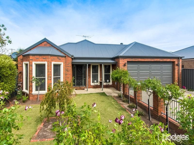 19 Waiora Ave, Hamlyn Heights, VIC 3215