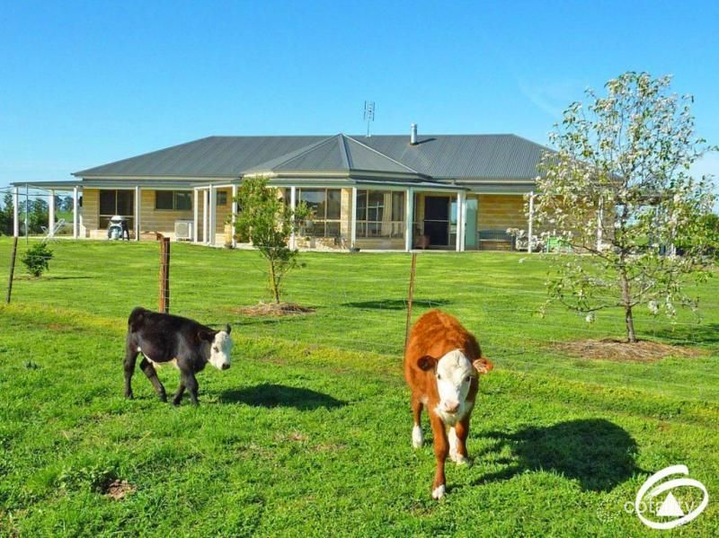 17 Bluett Cl, Forest Reefs, NSW 2798