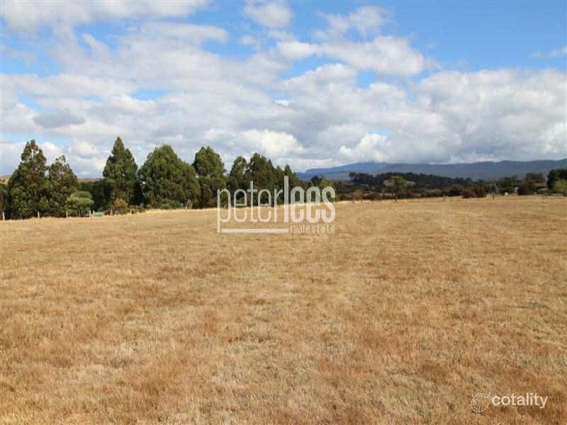 105 Ritchie St, Westbury, TAS 7303