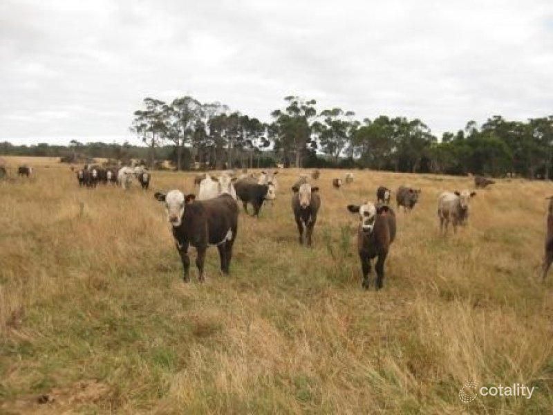 20896 Bass Hwy, Black River, TAS 7321