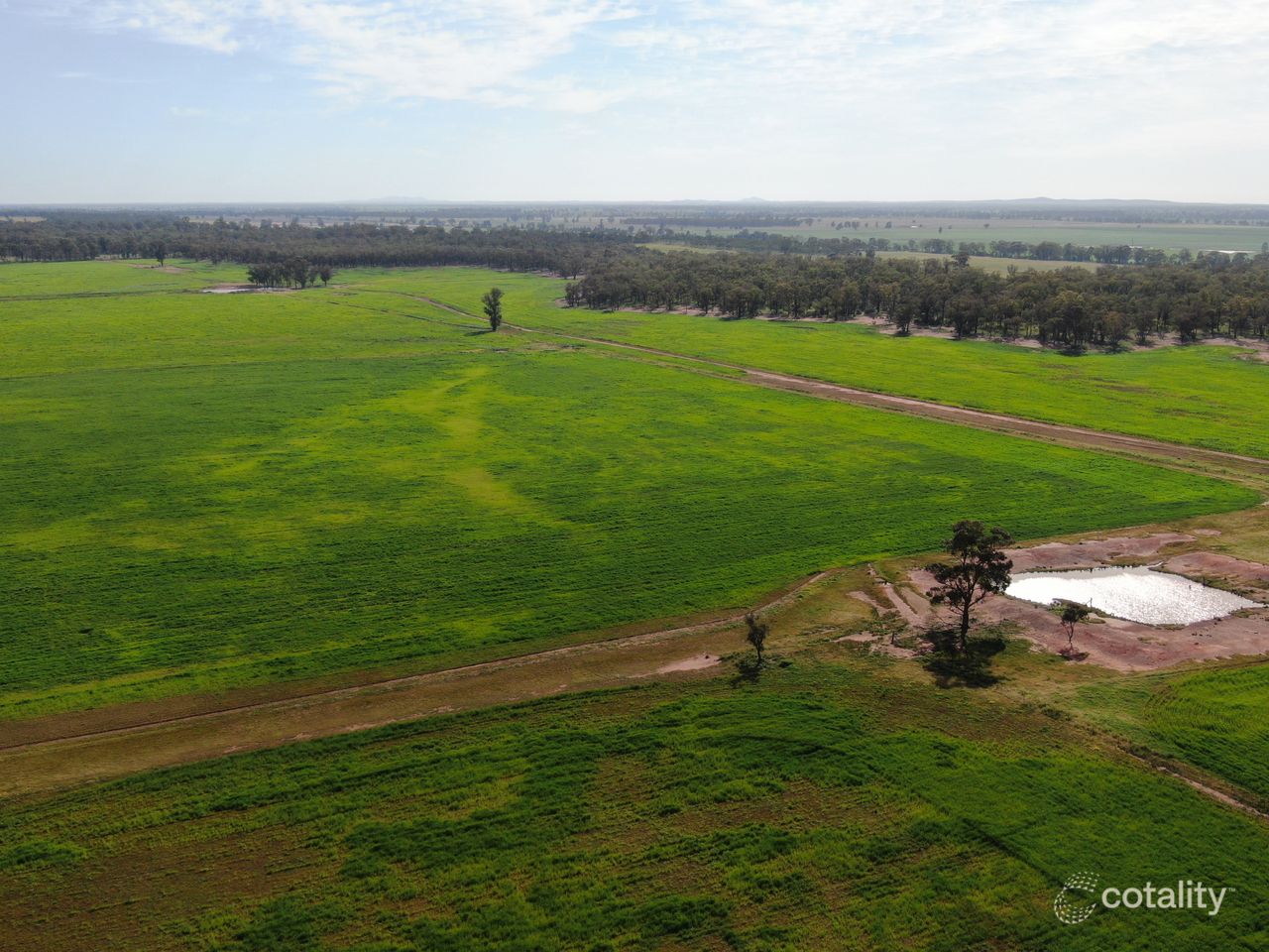342 Mulga Lane, West Wyalong, NSW 2671
