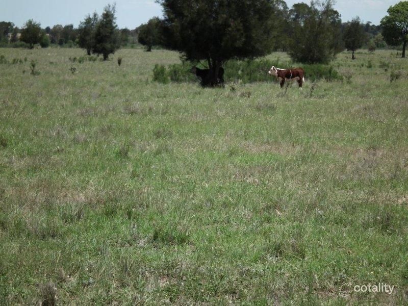 576 Green Hills Rd, Inglestone, QLD 4422