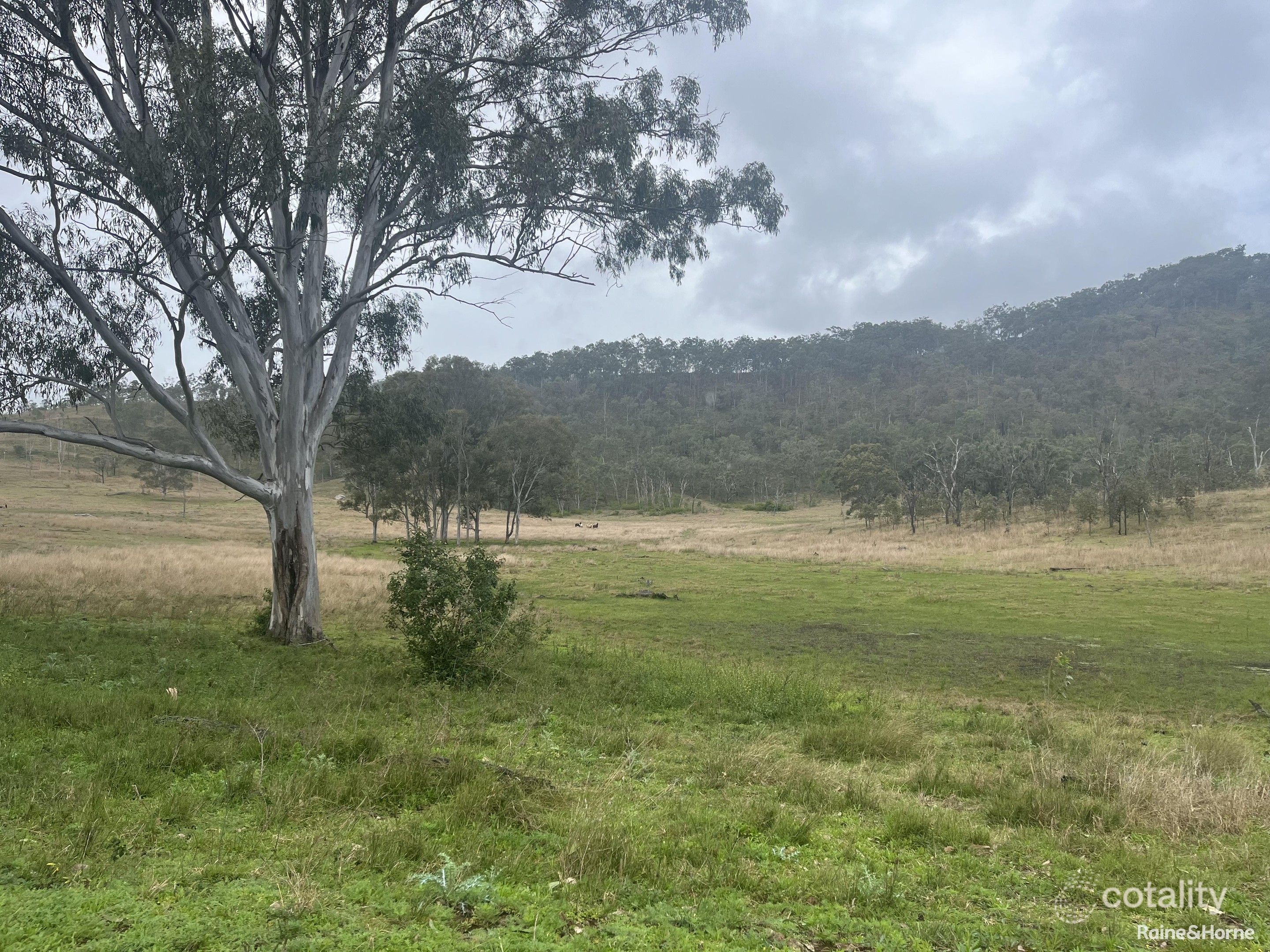 1472 Twin Creeks Rd, Yarrol, QLD 4630