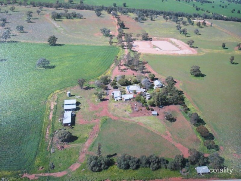 559l Cobboco Rd, Burroway, NSW 2821