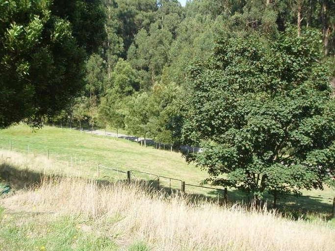 347 Allambee Estate Rd, Allambee, VIC 3823