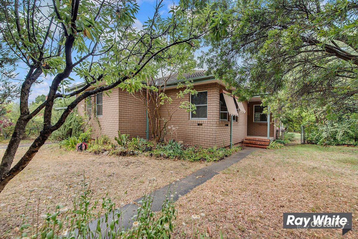 17 Jarrah St, O'Connor, ACT 2602