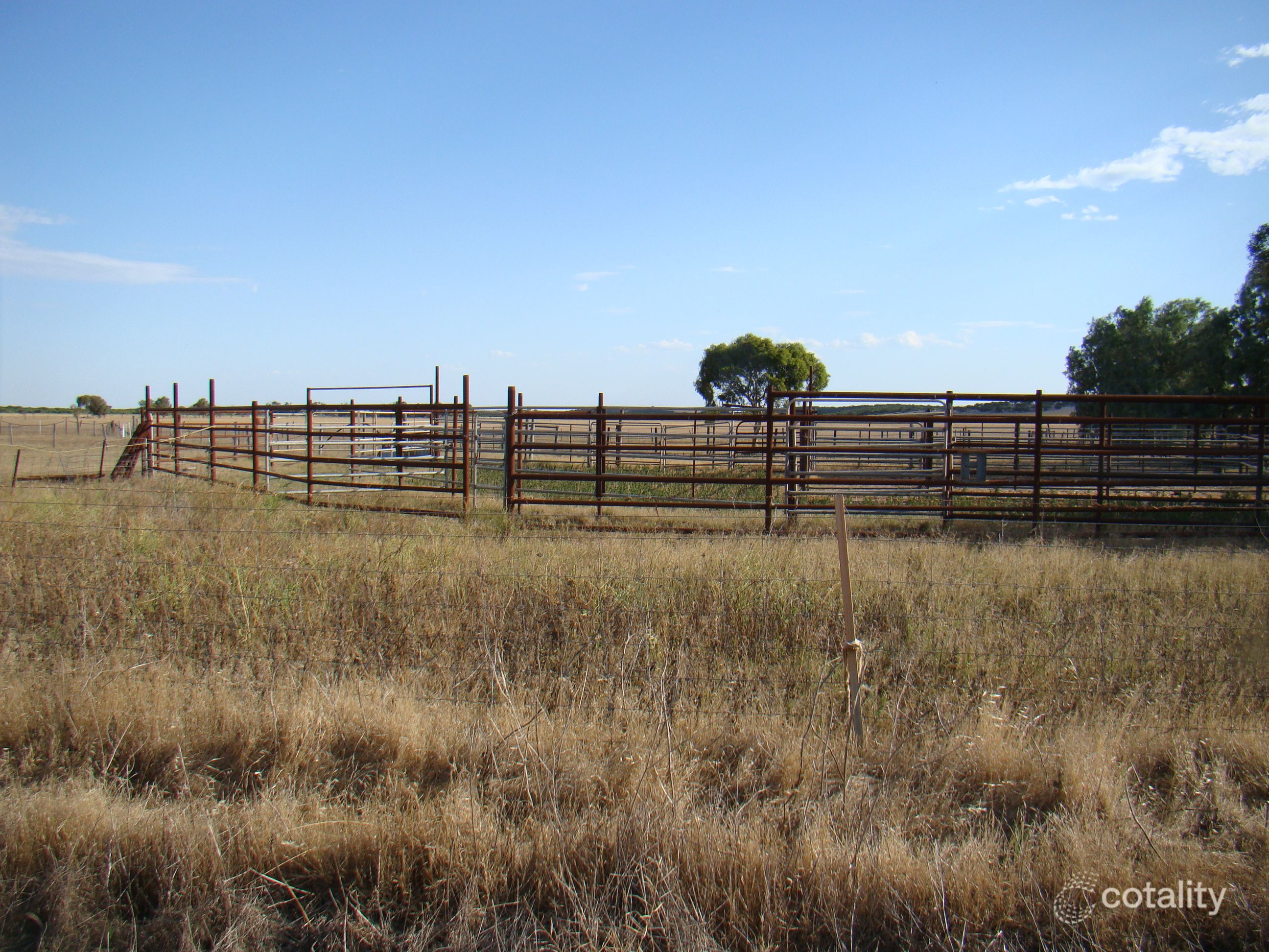 Mount Horner Rd W, Yardarino, WA 6525