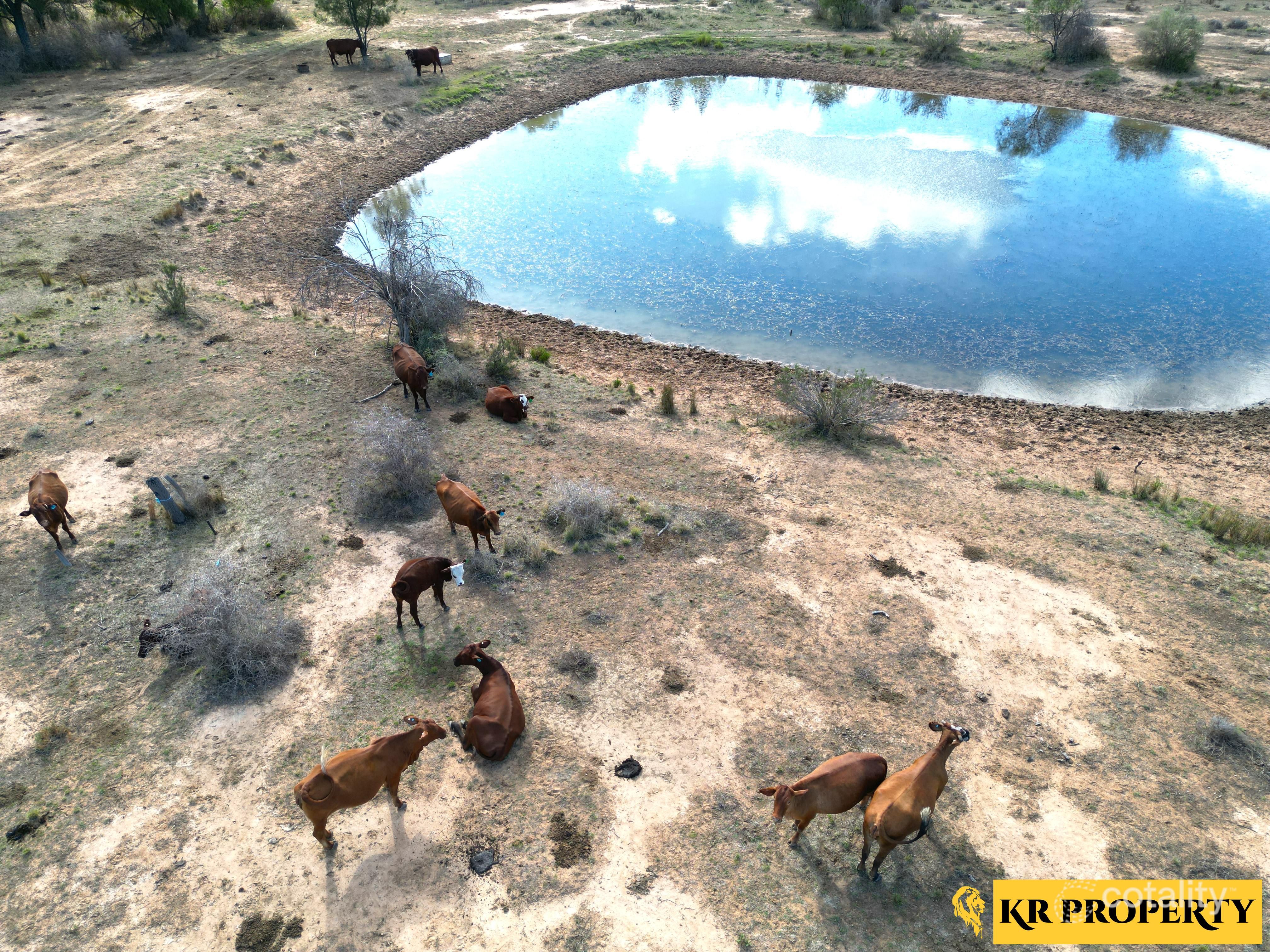 Lot 58 Pilliga Rd, Pilliga, NSW 2388