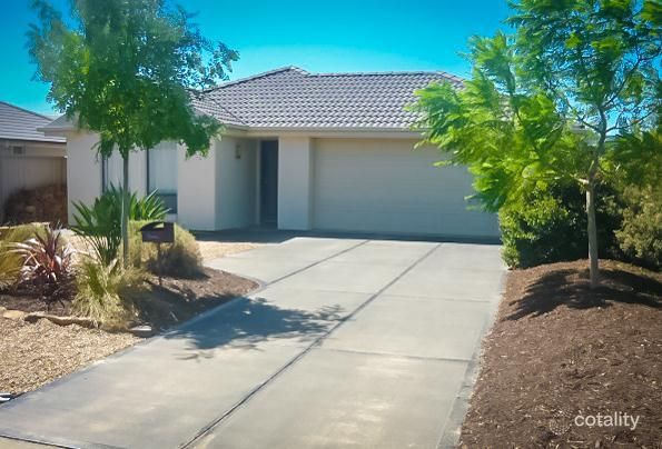 20 Lehmann Rd, Tanunda, SA 5352