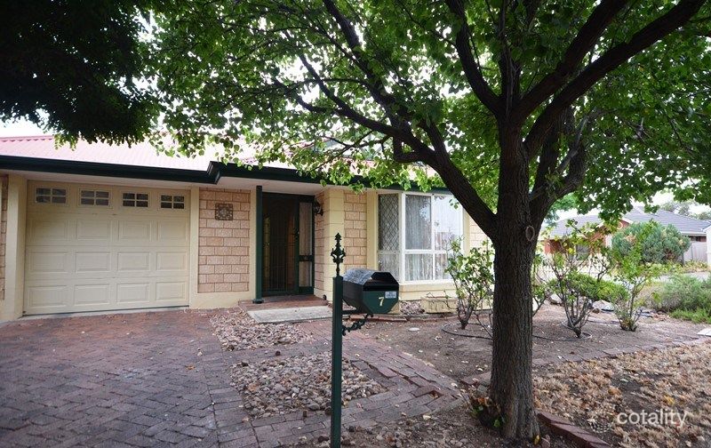 7 Knox St, Windsor Gardens, SA 5087