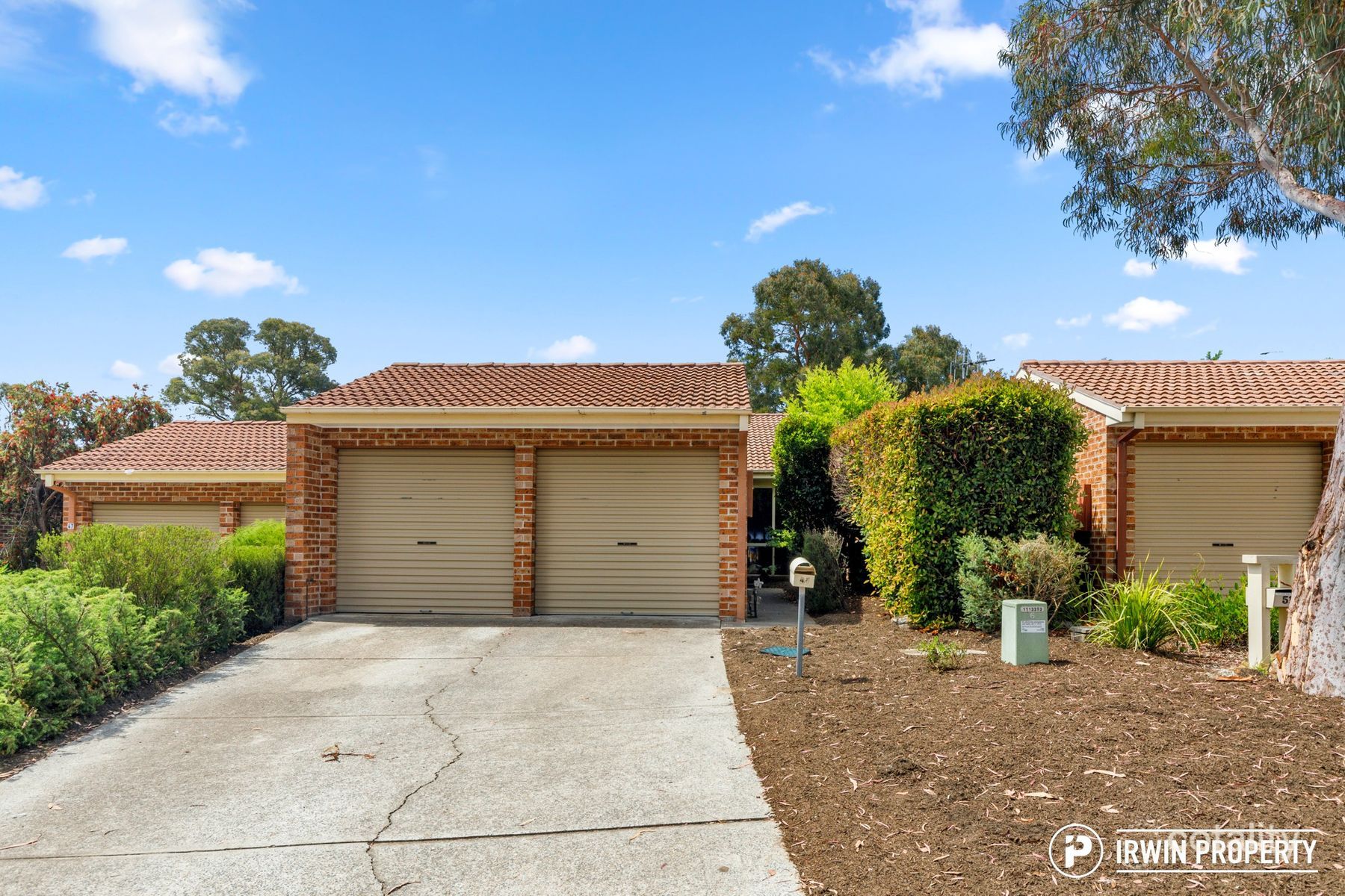 49 Collicott Cct, Macquarie, ACT 2614