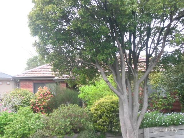 41 Elliott Ave, Balwyn, VIC 3103