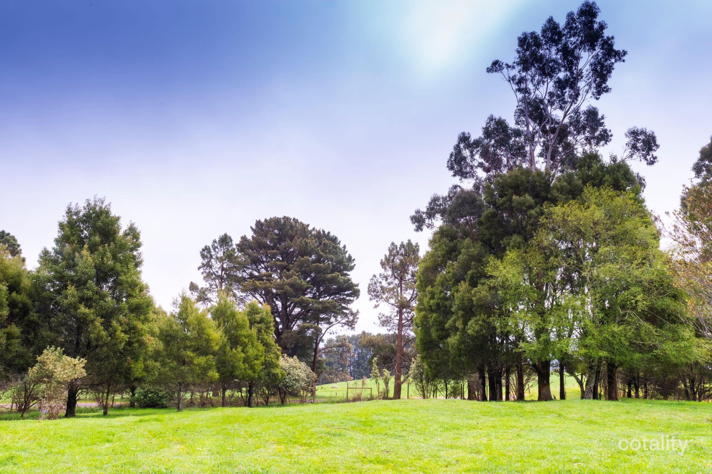 10 Beech Forest-Lavers Hill Rd, Beech Forest, VIC 3237