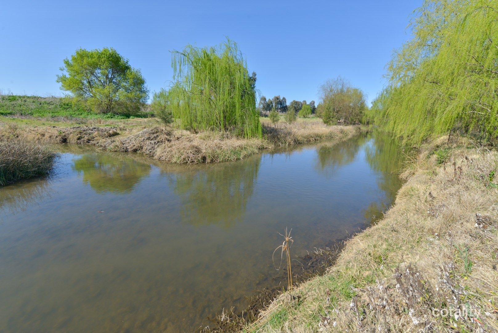 560 Wallamore Rd, Westdale, NSW 2340