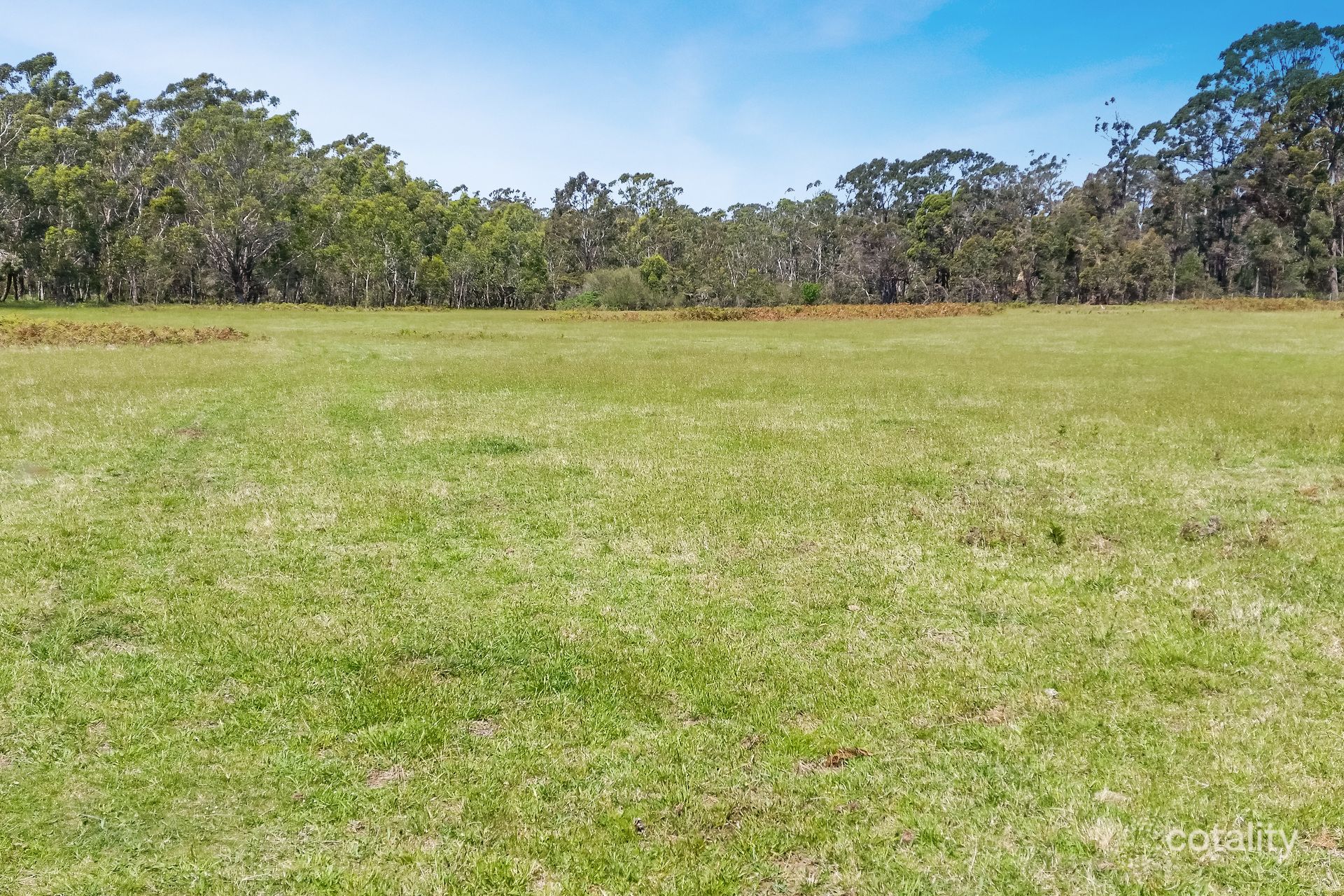 1901 Wombeyan Caves Rd, High Range, NSW 2575