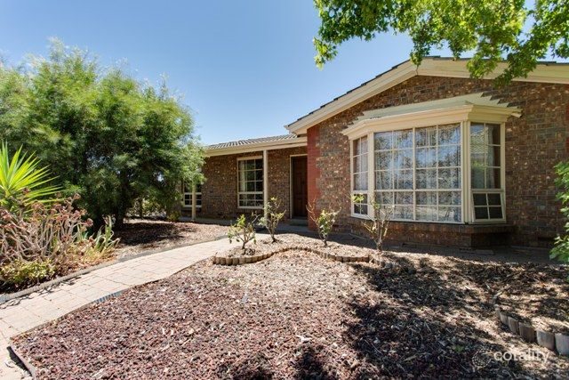 14 Copas Dr, Klemzig, SA 5087