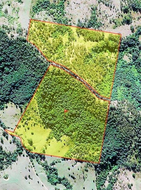 444 Mimi Creek Rd, Krambach, NSW 2429