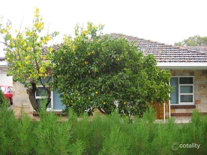 13 Reid Ave, Felixstow, SA 5070