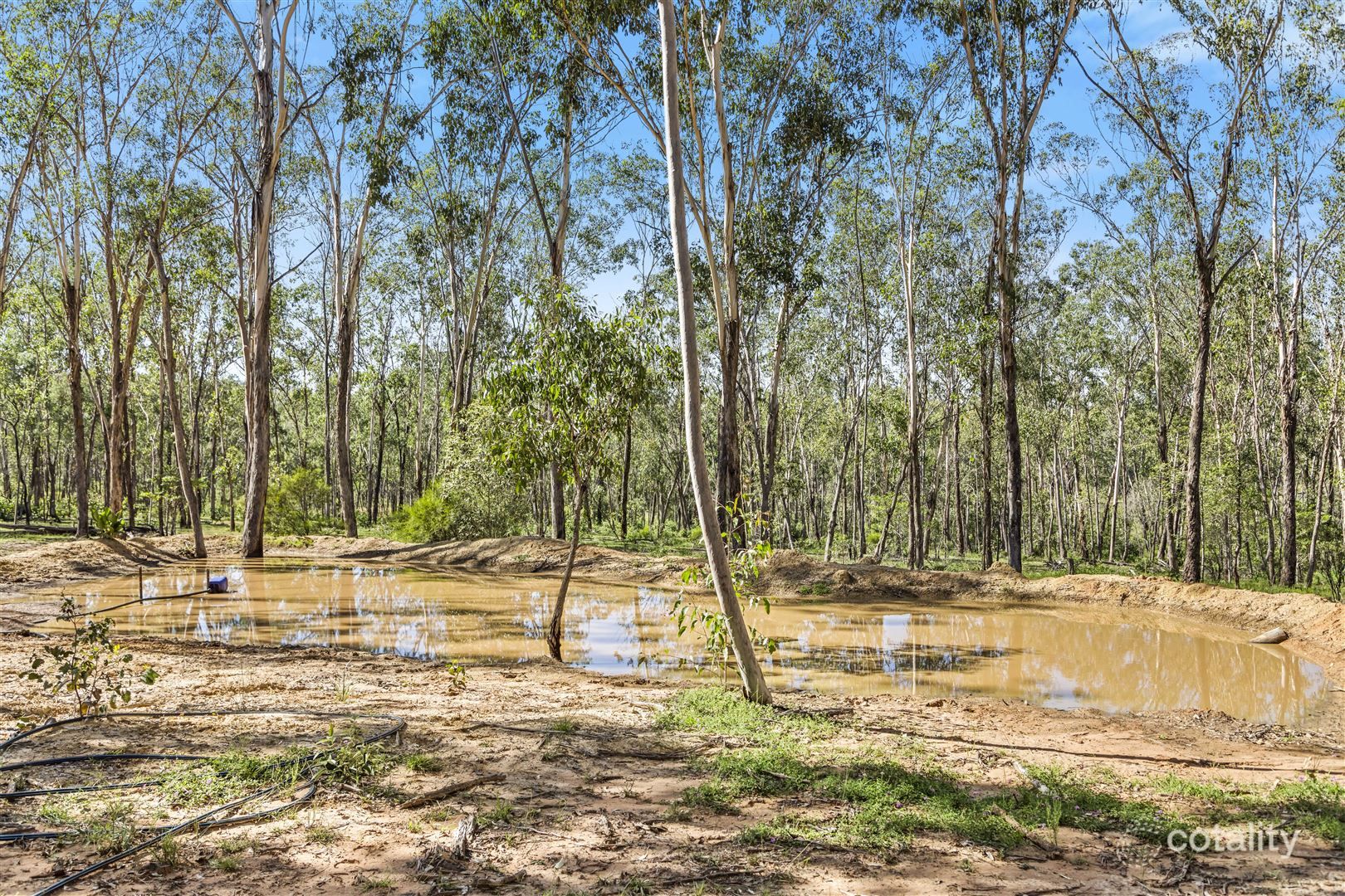 896 Murphys Creek Rd, Murphys Creek, QLD 4352