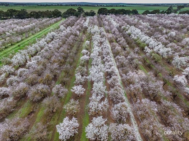 753 Meechi Rd, Langhorne Creek, SA 5255