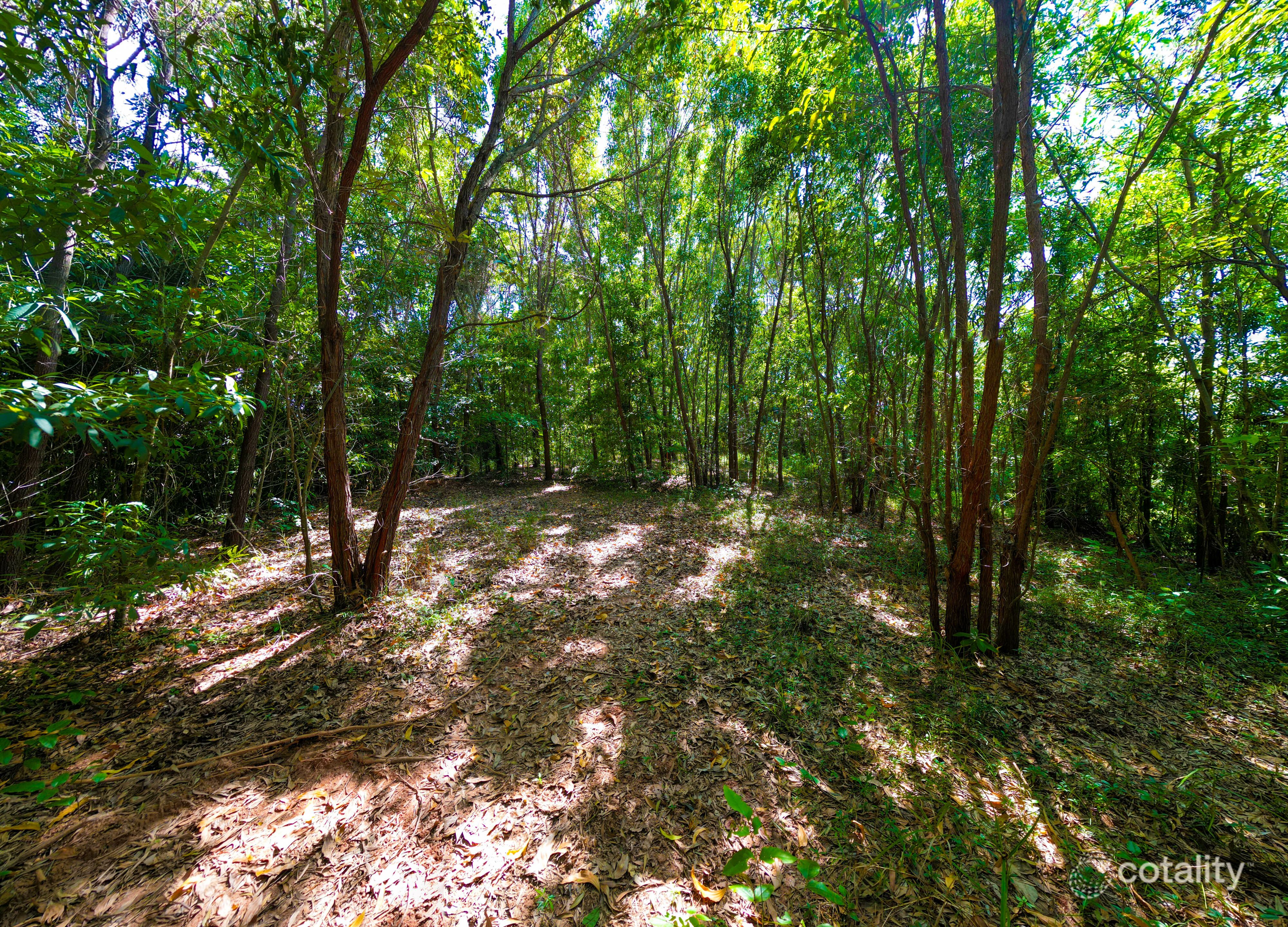 442 Bingil Bay Rd, Midgeree Bar, QLD 4852