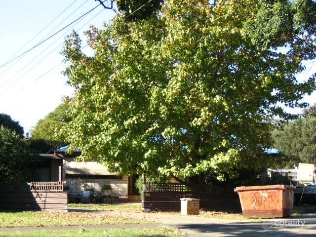 41 Nulang St, Old Toongabbie, NSW 2146