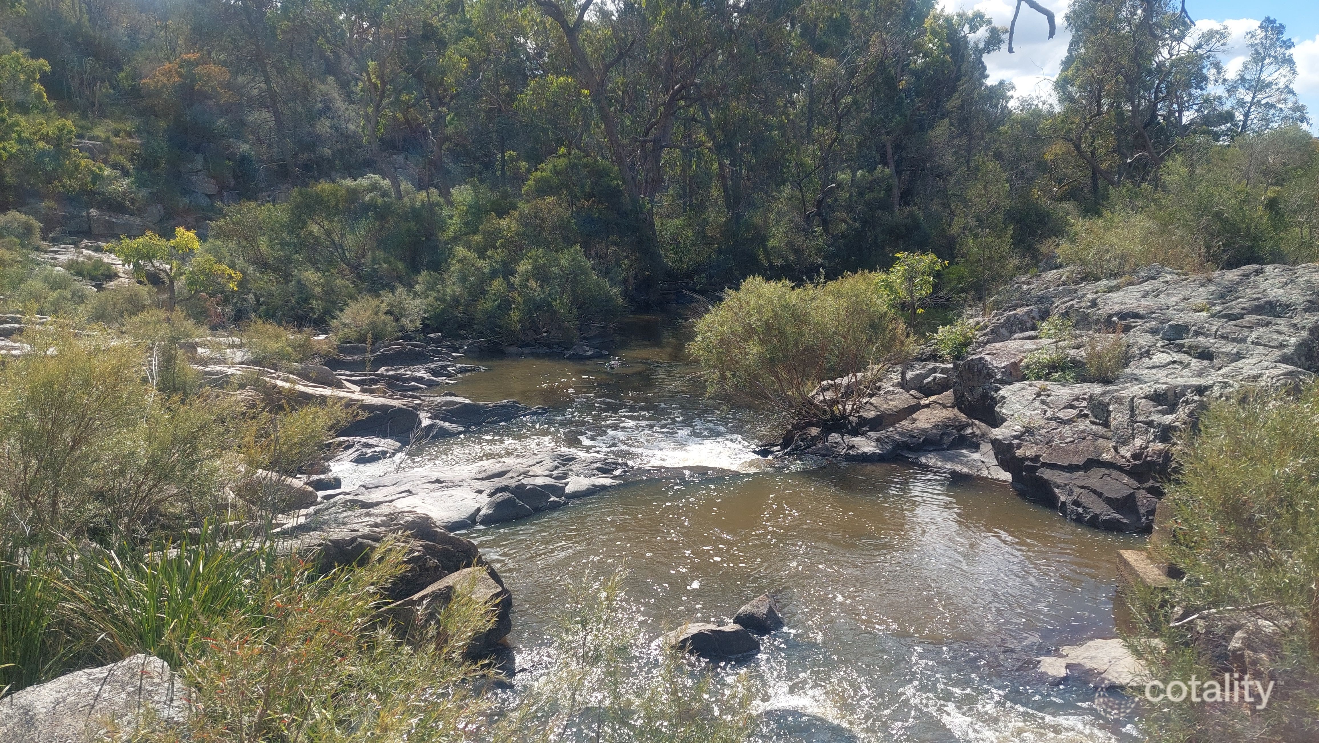 449 Sugarloaf Rd, Kyoomba, QLD 4380