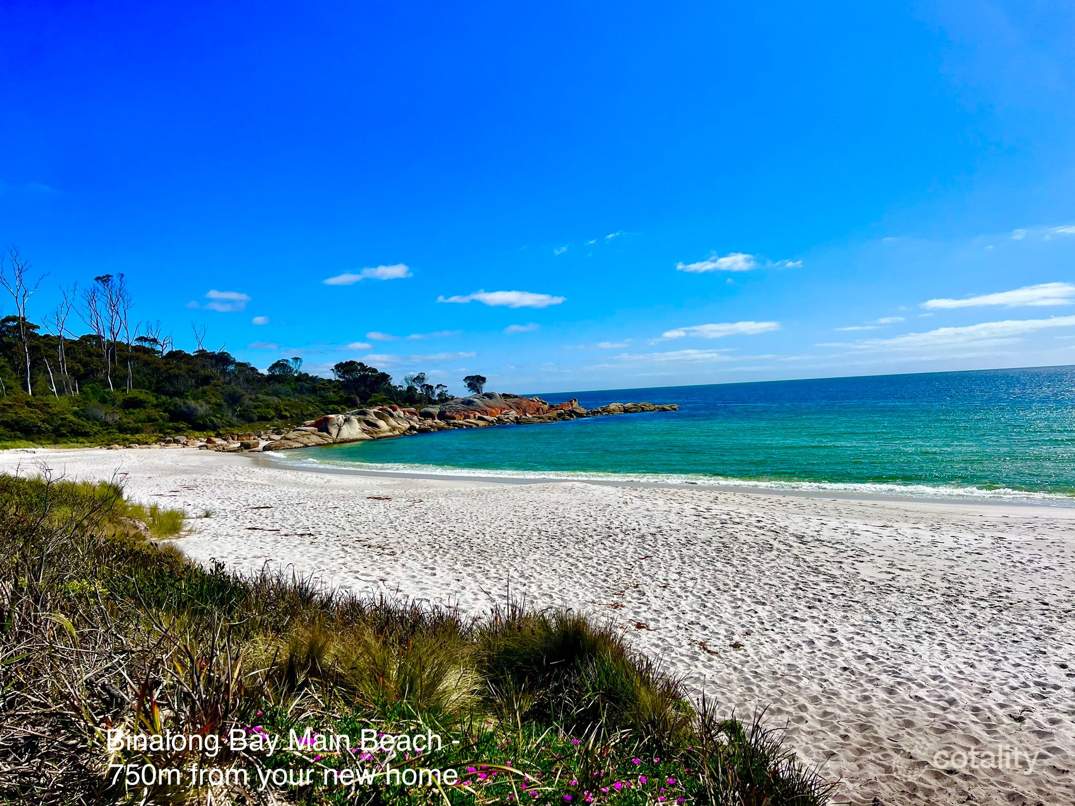 238 Gardens Rd, Binalong Bay, TAS 7216