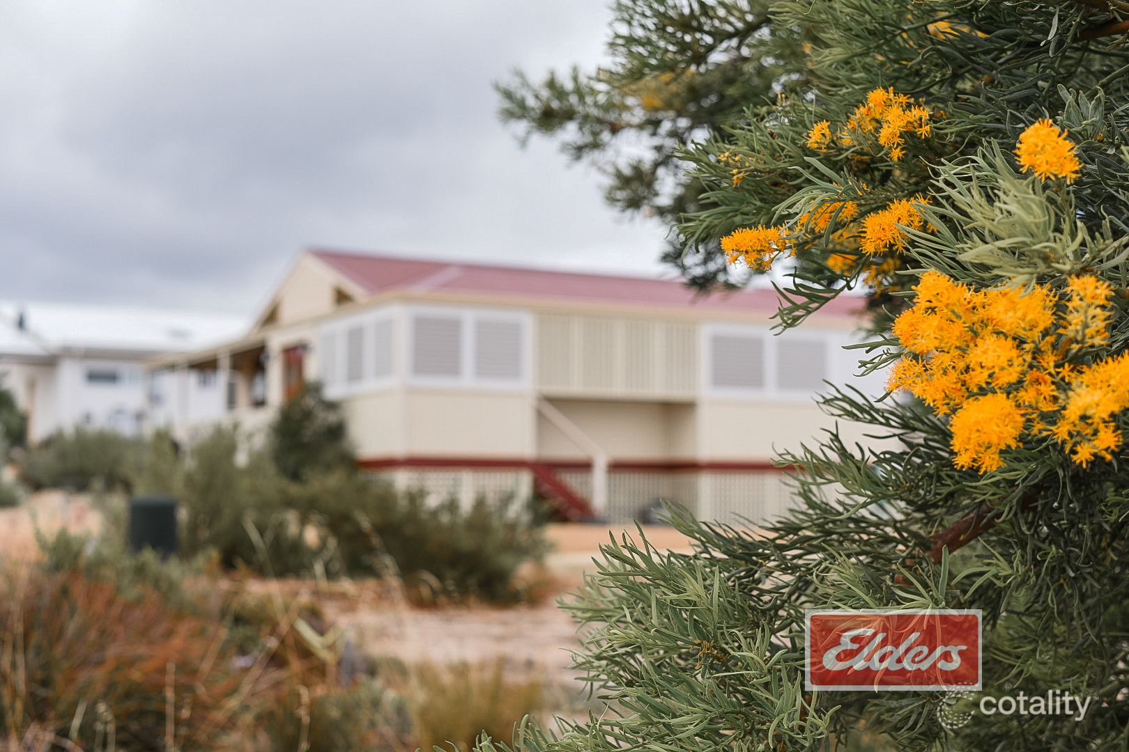 8 Gunn Pl, Bremer Bay, WA 6338