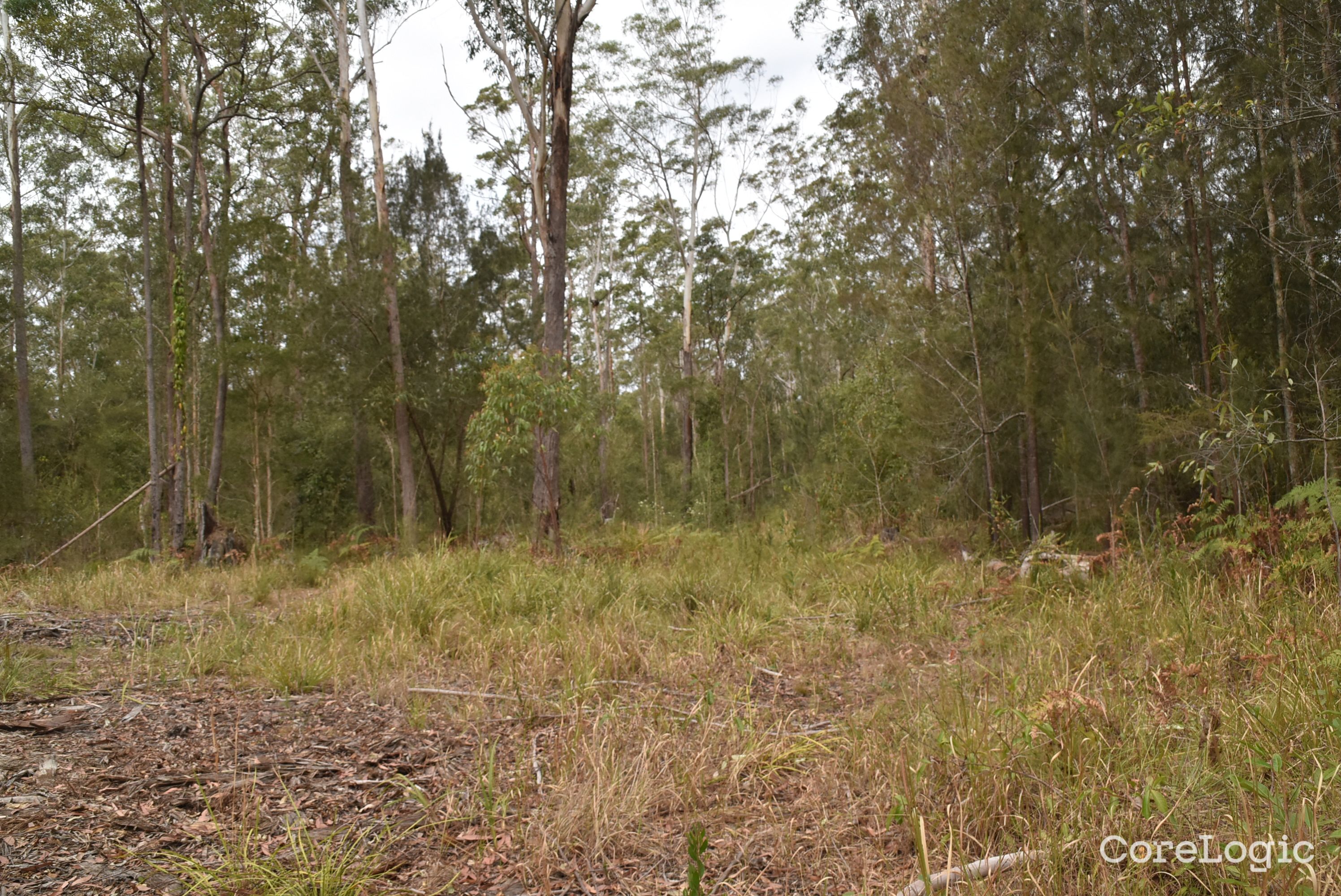30 Brushgrove Park Rd, Nabiac, NSW 2312
