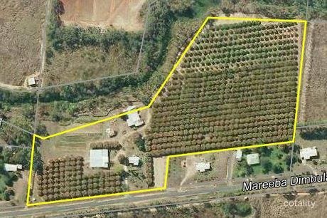 1114 Mareeba-Dimbulah Rd, Paddys Green, QLD 4880