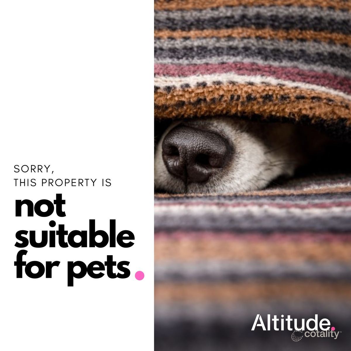 8 Michael St, Blackalls Park, NSW 2283