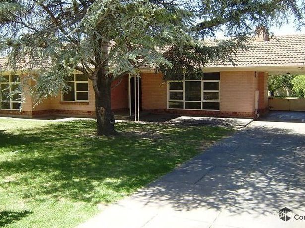 16 Duncan St, Lockleys, SA 5032