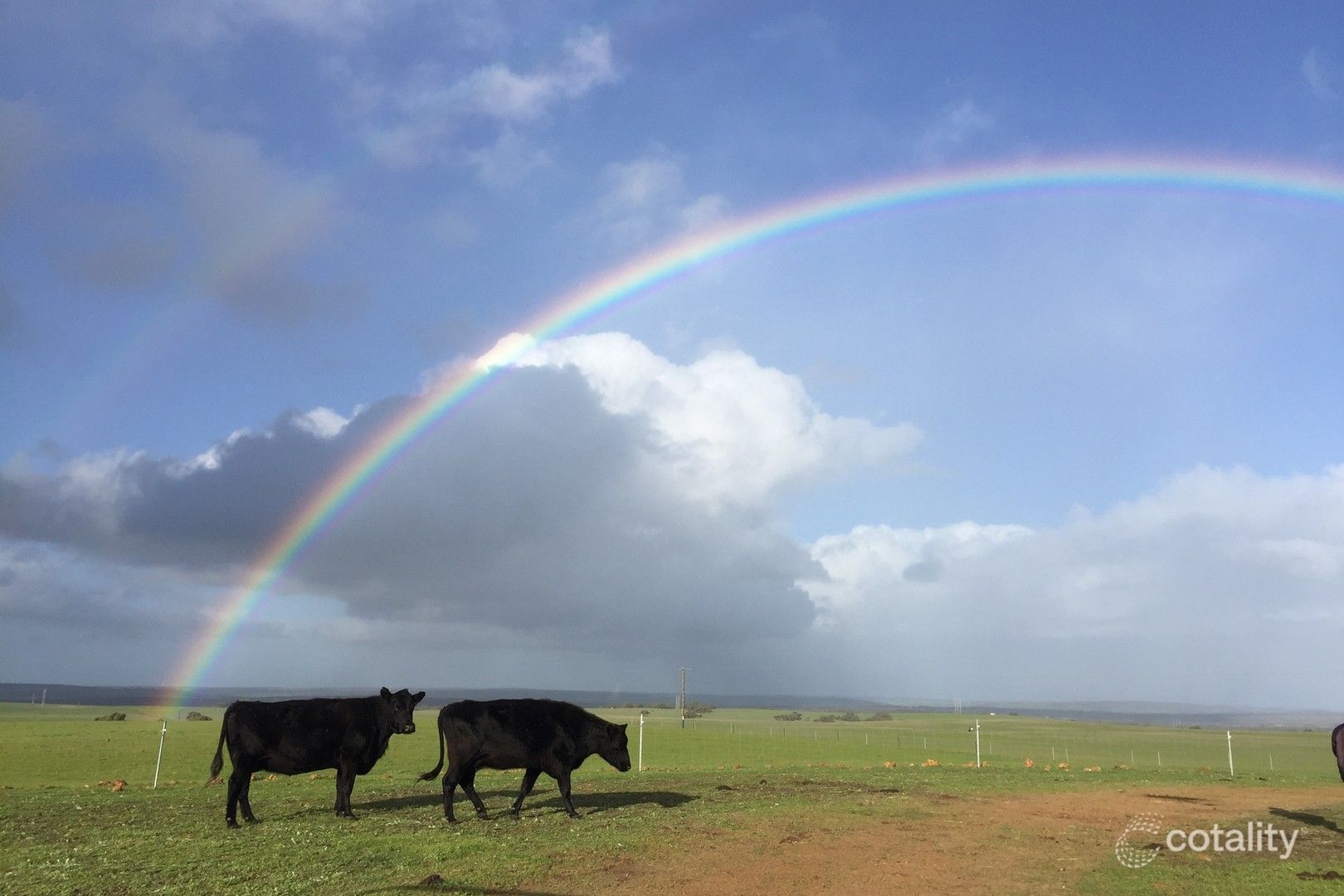 1976 Red Gully Rd, Mindarra, WA 6503