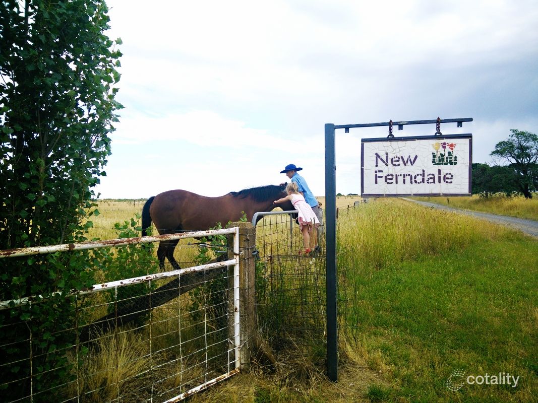 103 Ferndale Lane, Tallwood, NSW 2798