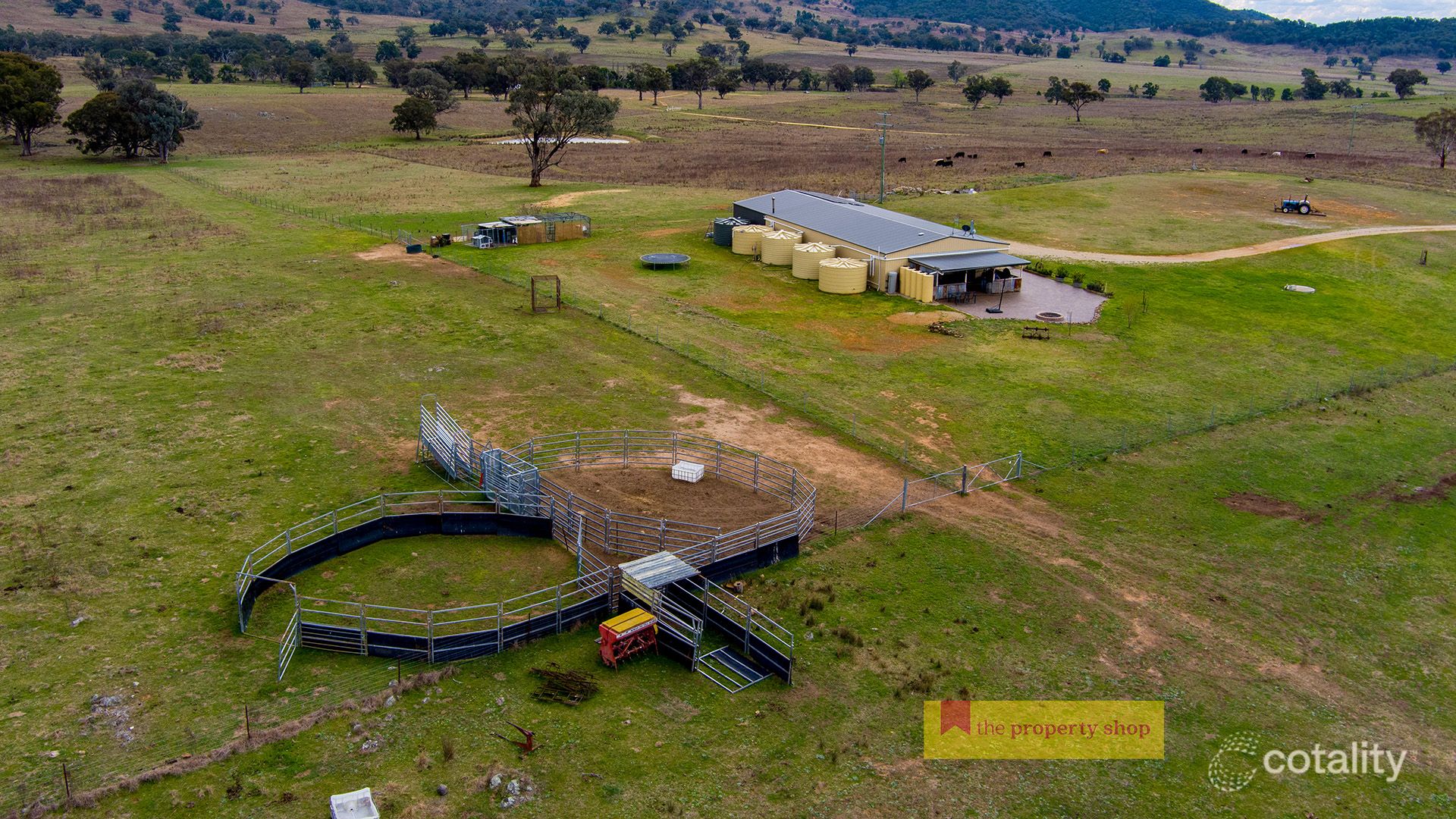 829 Kaludabah Rd, Piambong, NSW 2850