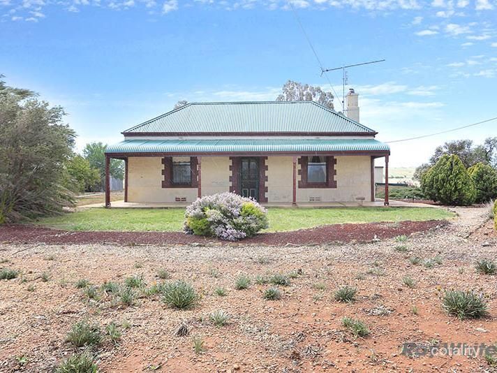 2483 Black Springs Rd, Robertstown, SA 5381