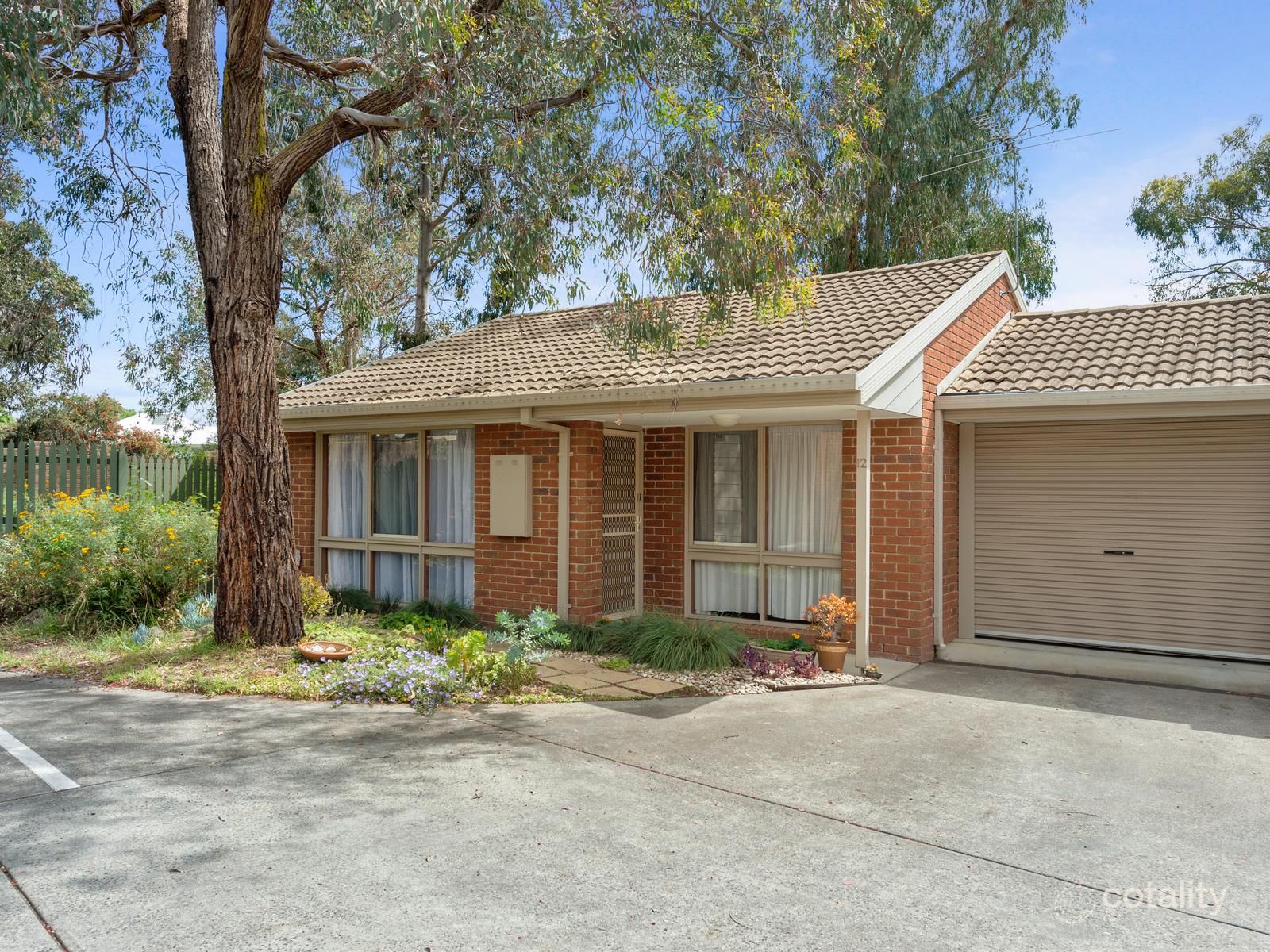 12/12 John St, Blackburn, VIC 3130