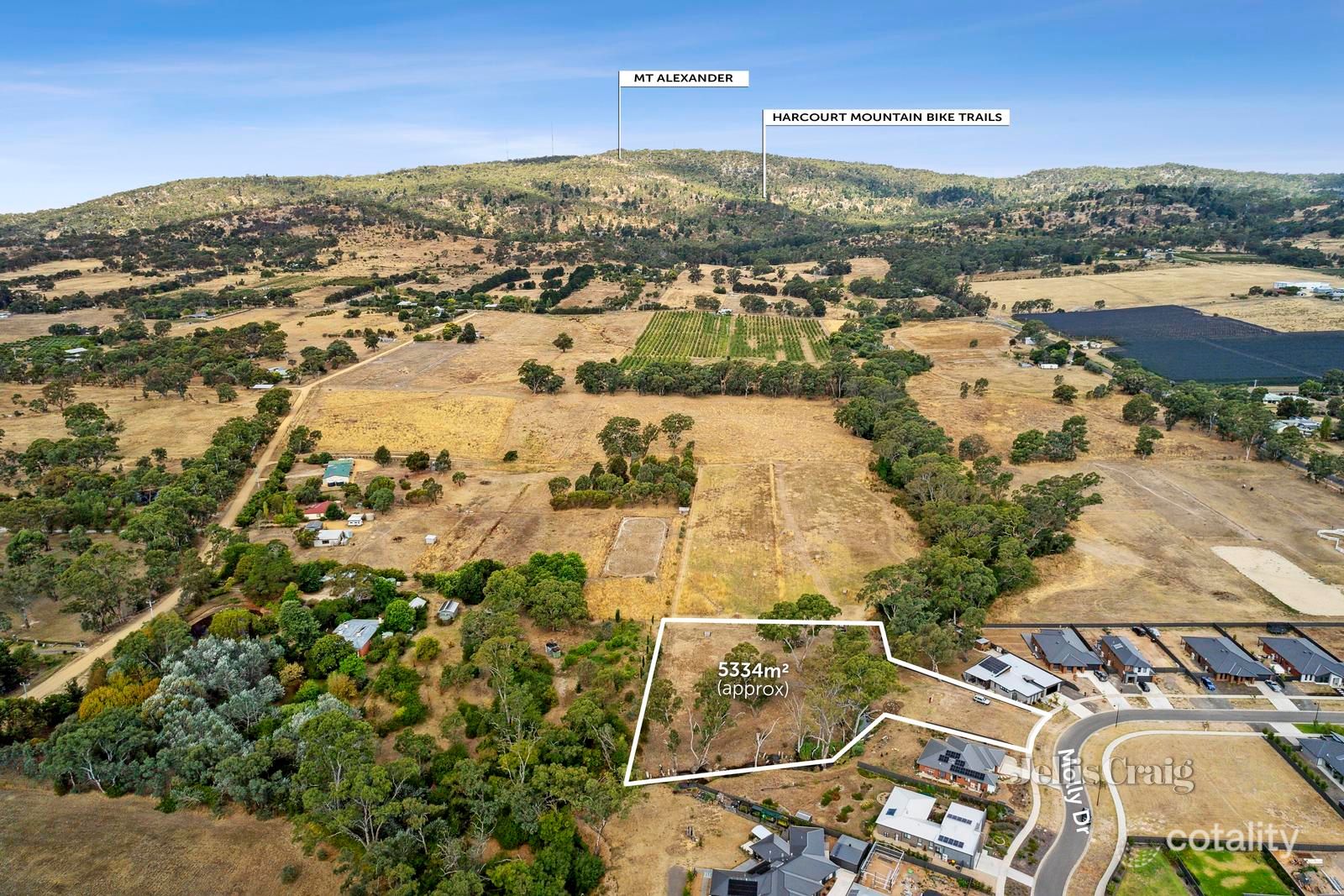 20 Molly Dr, Harcourt, VIC 3453