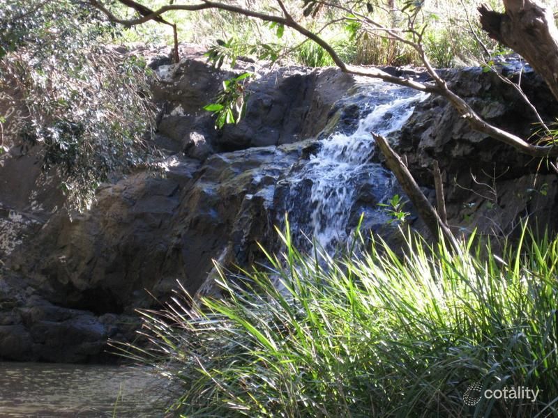 551 Barretts Creek Rd, Barretts Creek, NSW 2460