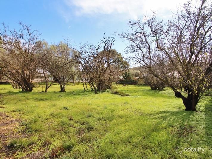 Lot 224 Church St, Burra, SA 5417