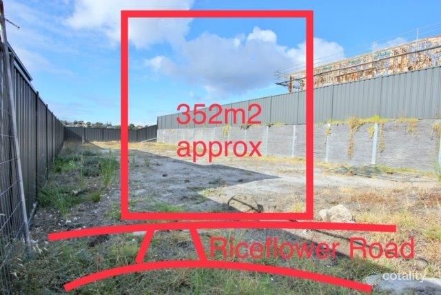 48 Rice Flower Rd, Sunshine North, VIC 3020