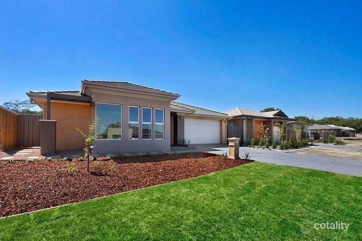 18 Blizzard Cct, Forde, ACT 2914