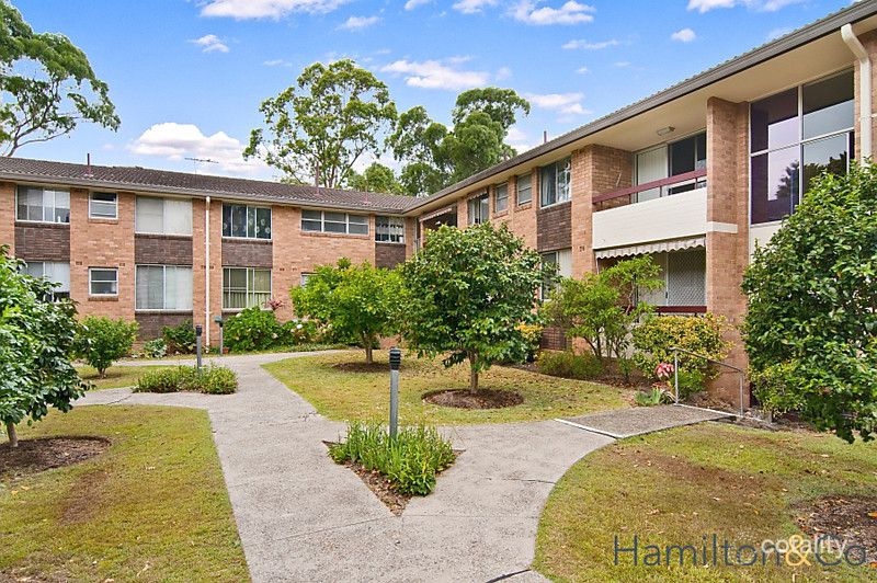 6/51-53 Burns Bay Rd, Lane Cove, NSW 2066