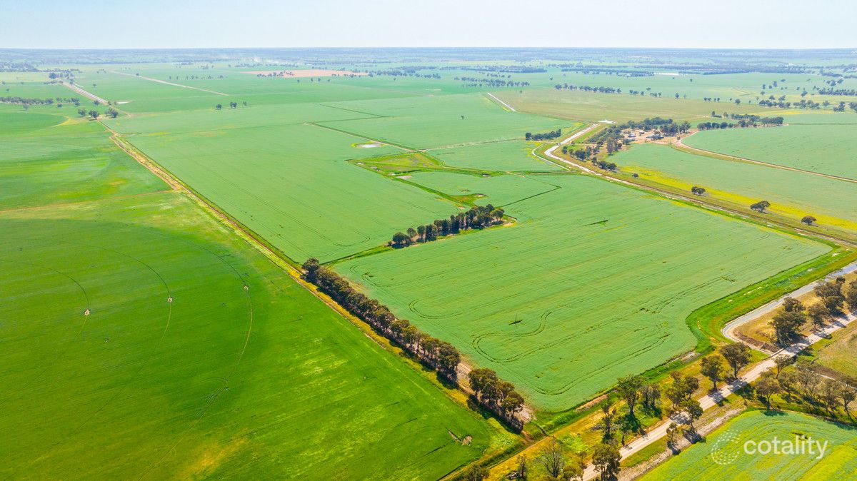 299 Sherwins Rd, Berrigan, NSW 2712